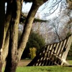 Picture005 3 150x150