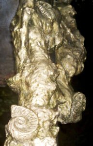 detail alibronze primordial ooze