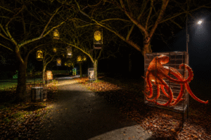 wide angle removal 3